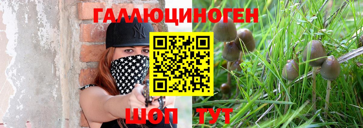 Псилоцибиновые грибы мухоморы  Вход с VPN  Псилоцибиновые грибы Psilocybine cubensis  Белая Калитва 